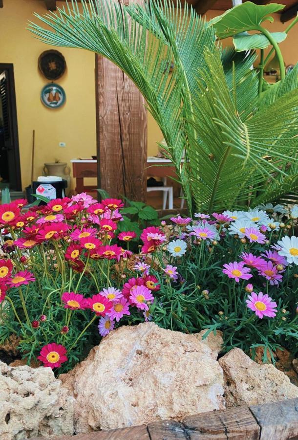La Casa Di Anna Hotel Marsala Buitenkant foto