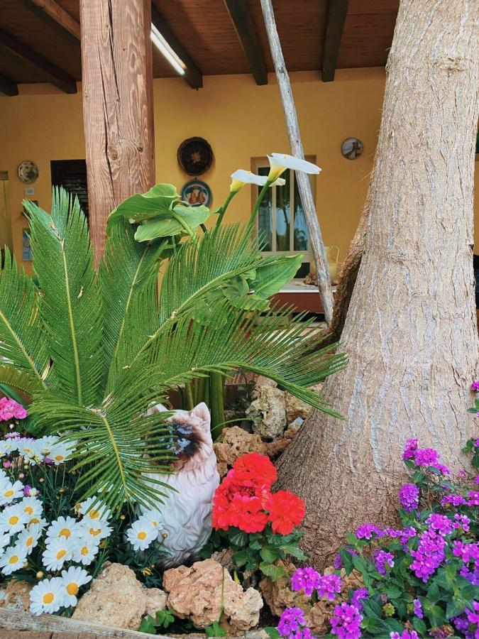 La Casa Di Anna Hotel Marsala Buitenkant foto